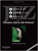 JEZ Cover